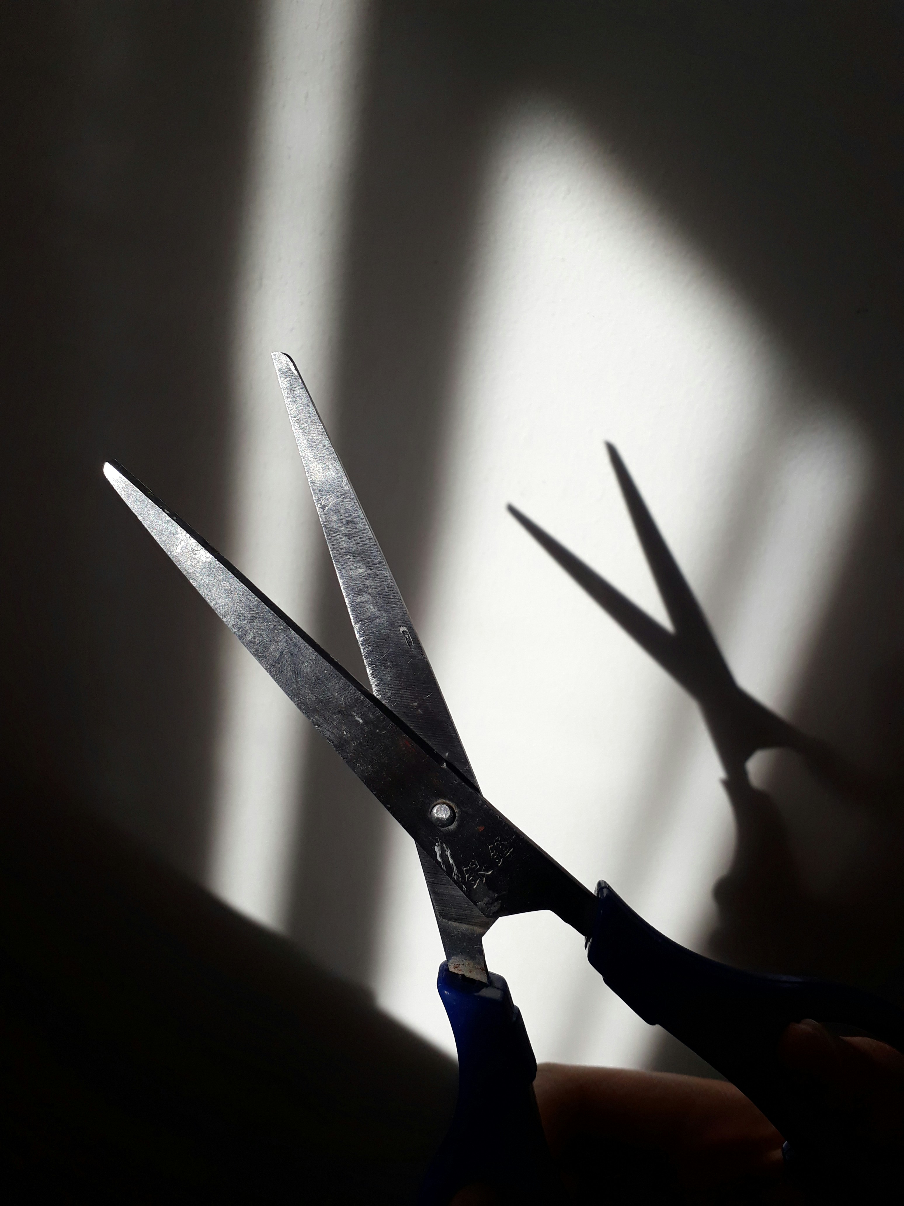 Scissors