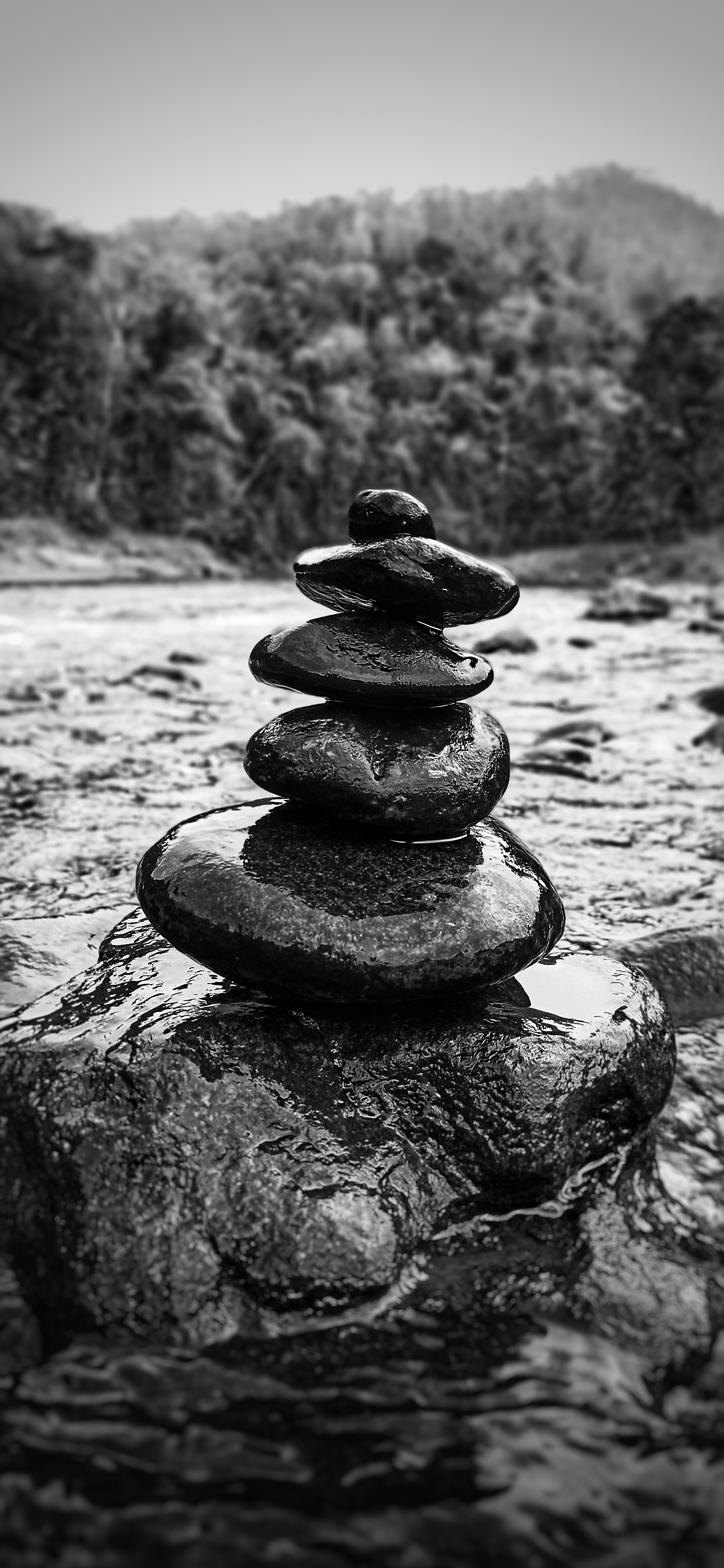 Stone